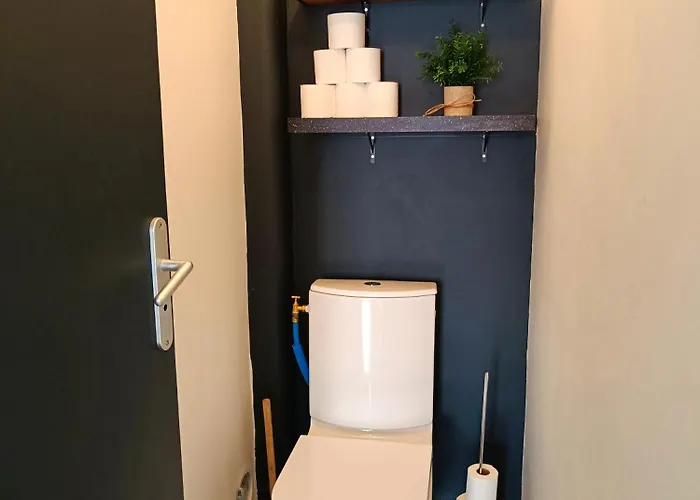 La Belle Aude Climatise Apartment *