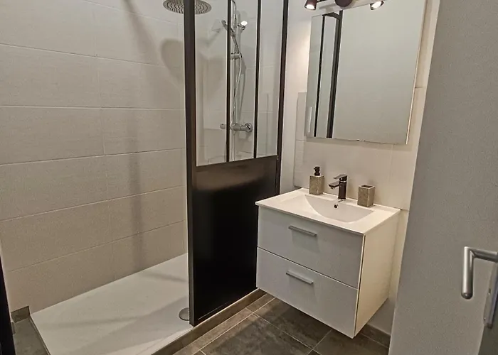 La Belle Aude Climatise * Carcassonne