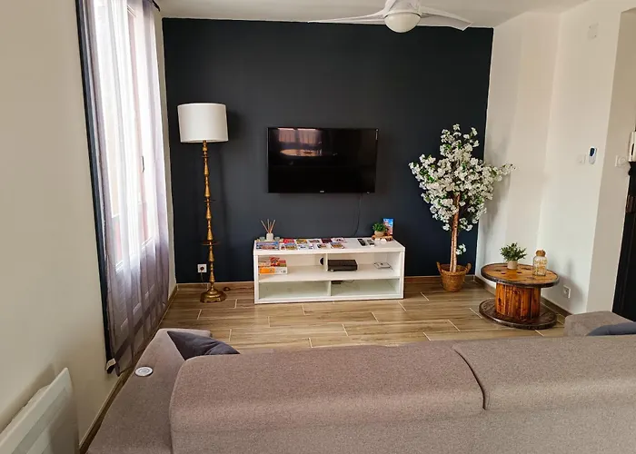 La Belle Aude Climatise * Carcassonne