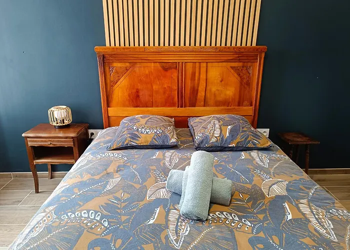 La Belle Aude Climatise * Carcassonne